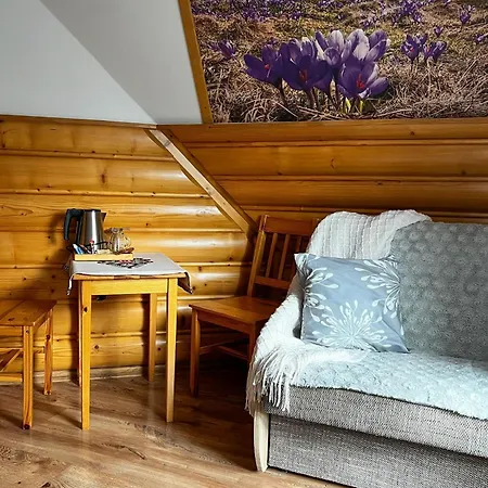 Pokoje Goscinne U Iwony Zakopane Exteriér fotografie